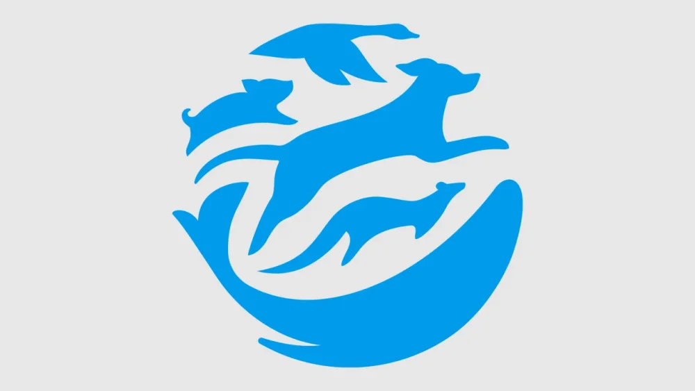 rssImage-cba37c42fd88dbf756534c40db554368.webp