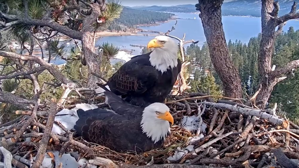 rssImage-0928f2837a9e49aeec7bf08939507771.jpeg