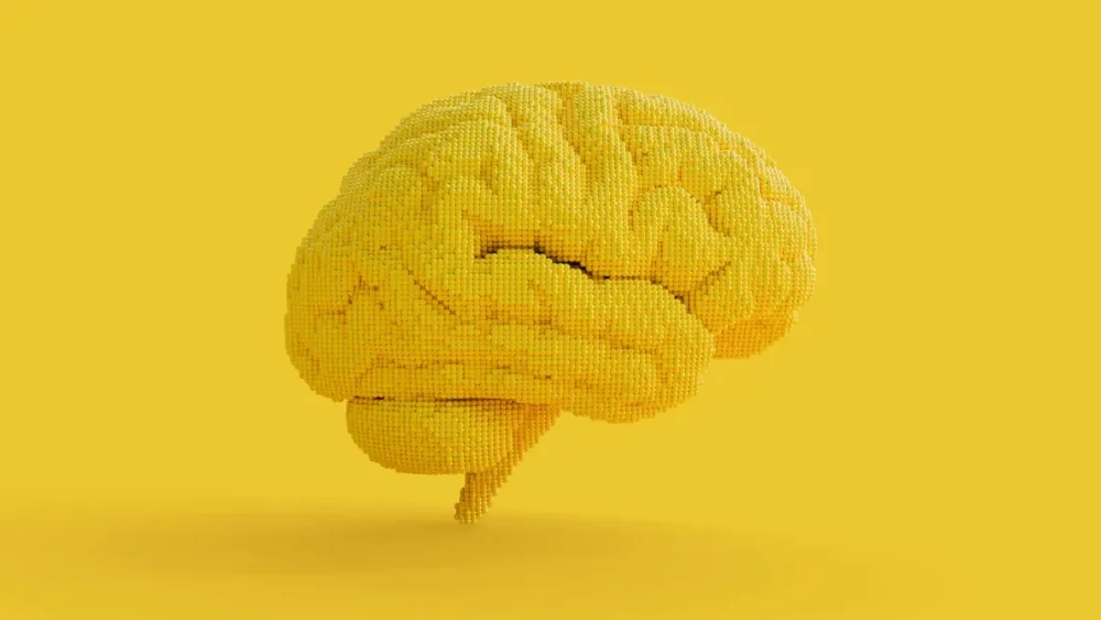 rssImage-4012b71e31903cd65d2959597a4a4aa1.webp