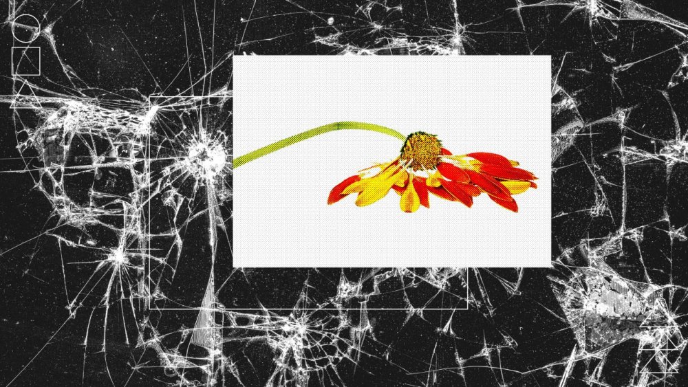 rssImage-8bd014283c5203f46d2447a844e73a97.jpeg