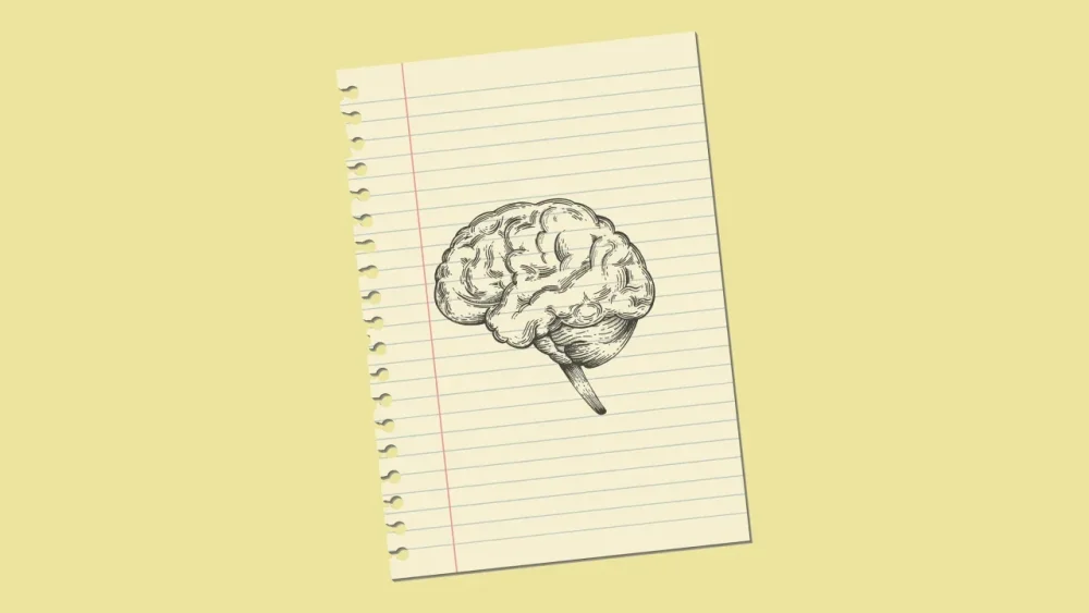 rssImage-a77c824e1502a70770a2c35bf6615310.webp