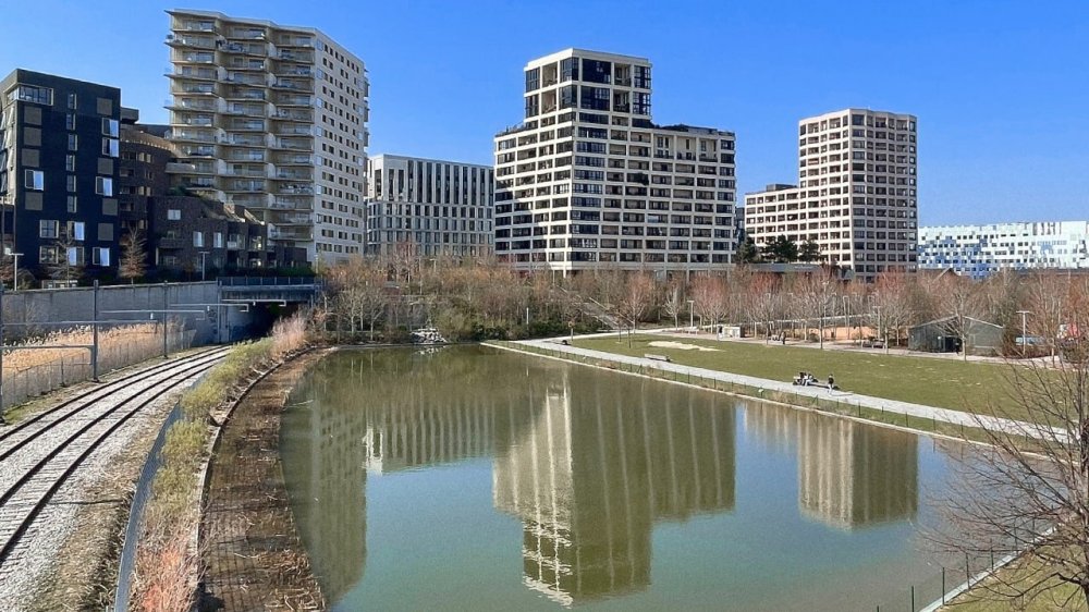 rssImage-1cda08d7058afbef0e196442377b199a.jpeg