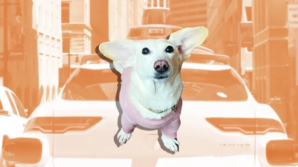 rssImage-88796c310571060e588b776cbebe46b3.webp