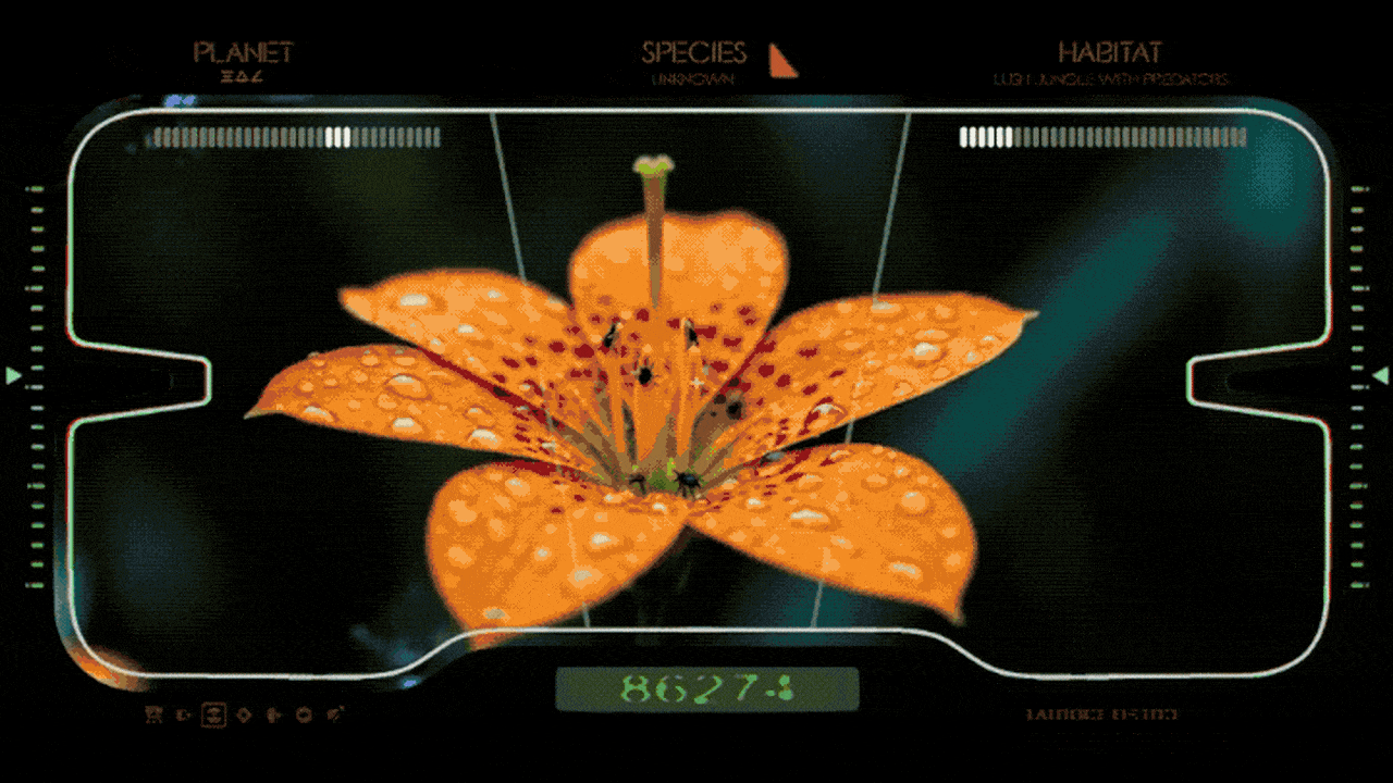 rssImage-fc29fcd173165cddad2a42f9cc54e750.gif