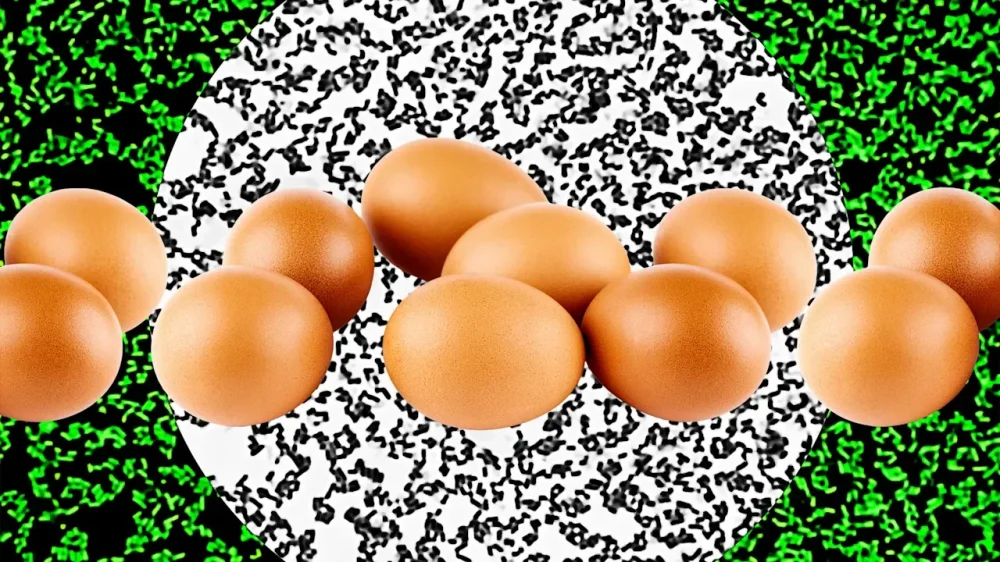 rssImage-268c002fd82c22b00c819141d4ab76e7.webp