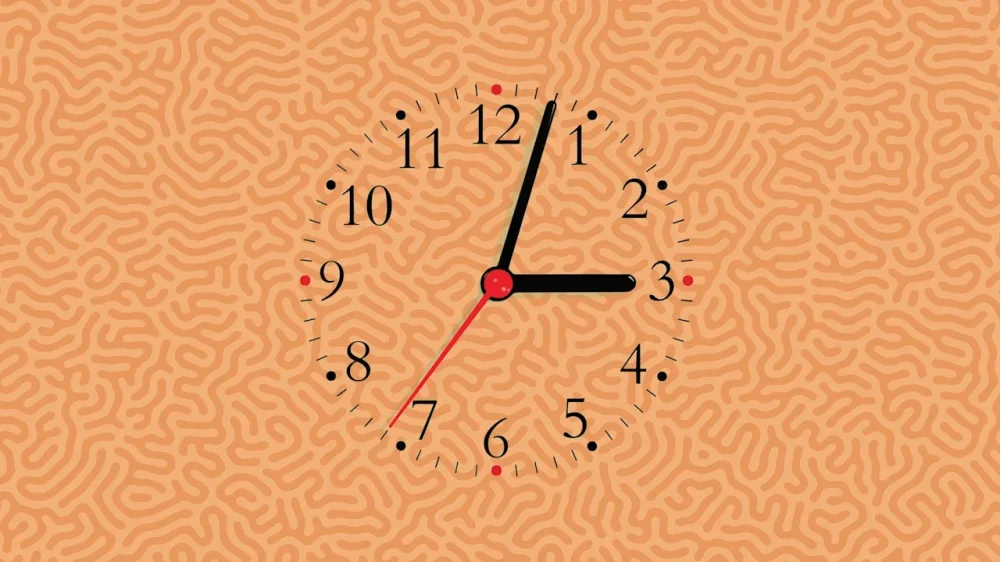 rssImage-8cb53a899c91f5af1f9248adb3116150.webp