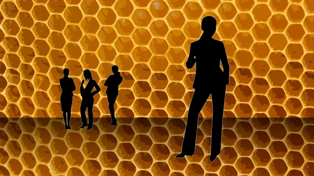 rssImage-dc08f4f1fcaf7c029fae7c54849296d1.webp