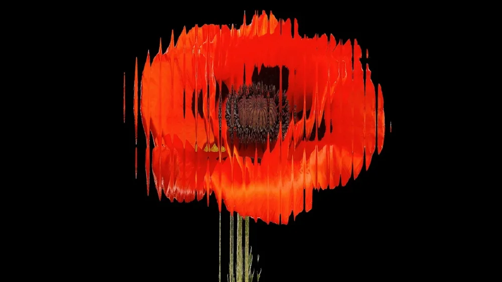 rssImage-f2d320ceee420fd00908b4114a148549.webp