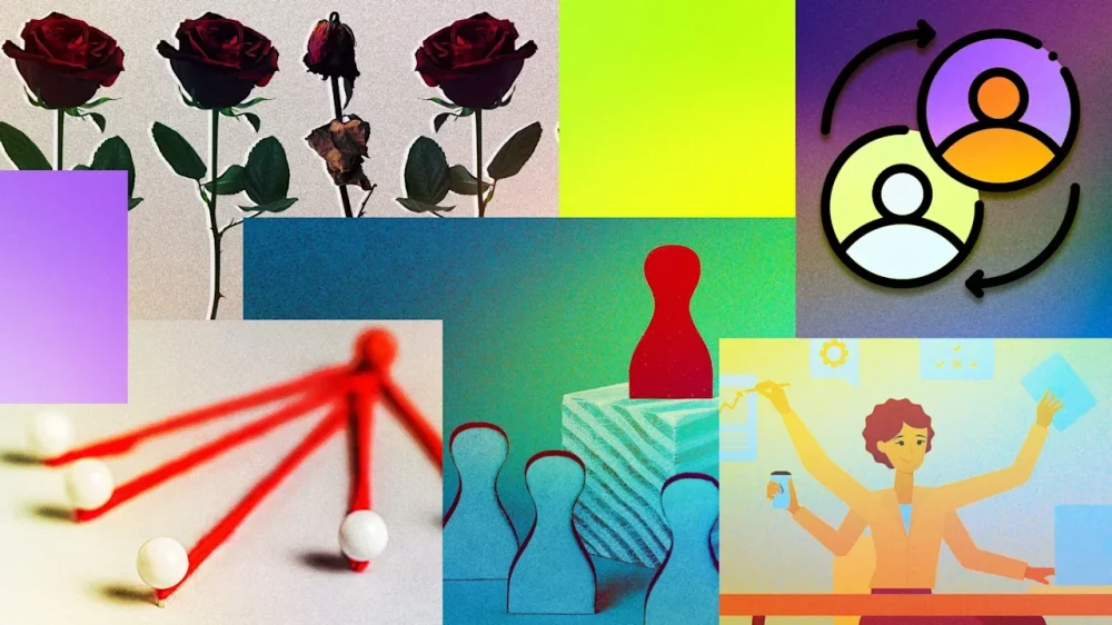 rssImage-644bfd6e398789604e0d7d60534700a7.webp