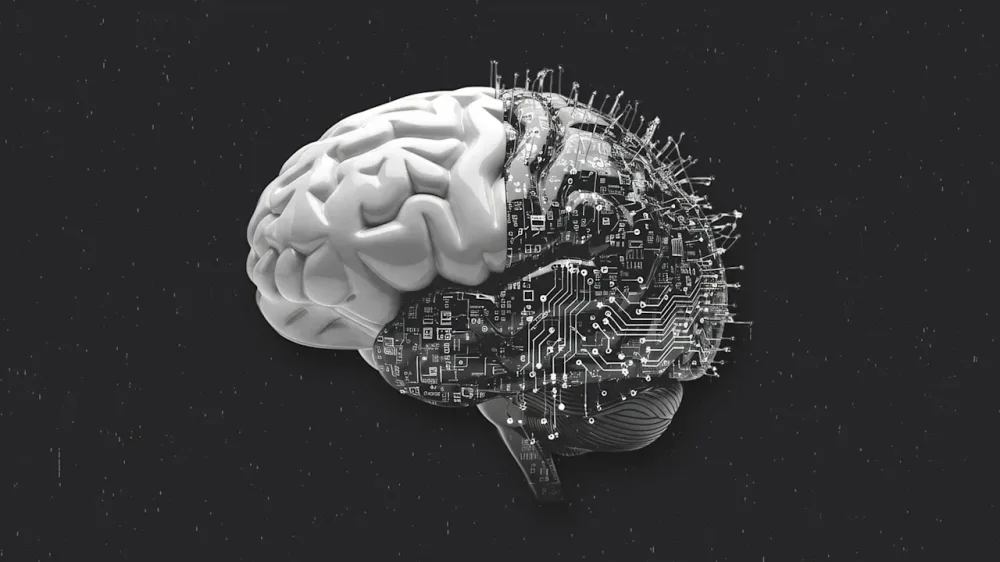 rssImage-697fb2ee5dc2ec133d455c987e54c4a3.webp