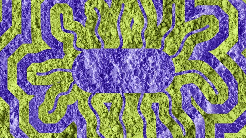 rssImage-b7e2e99c8fd235ac64992900c5a54b0f.webp