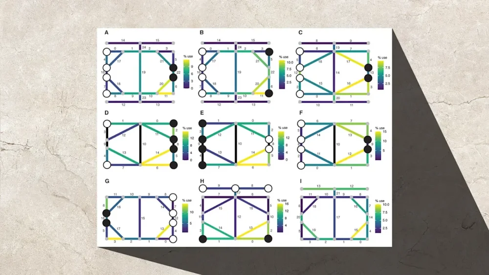 rssImage-7bea90d578d8afa5b4b772dafd2eae47.webp