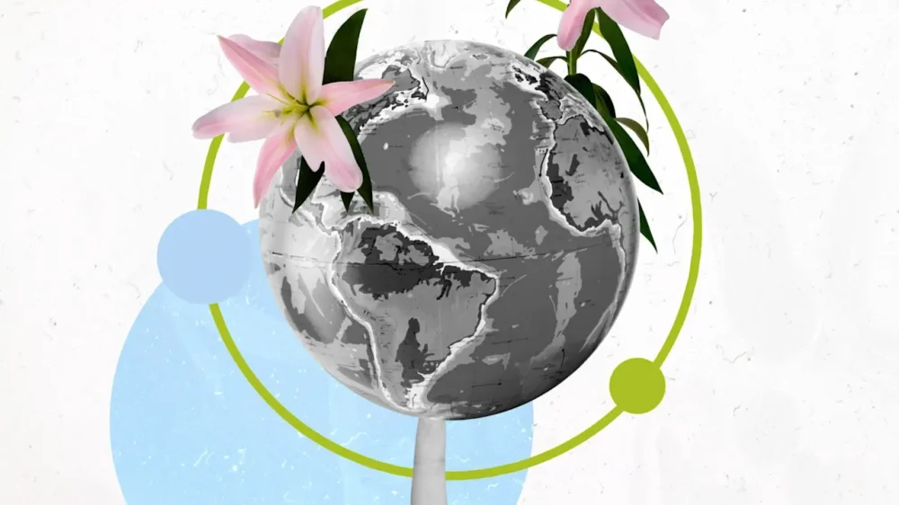 rssImage-c6095591b92745e44d2a7d3ed5420aff.webp