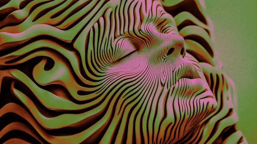 rssImage-cb23f3d7e41a71d3ff2c091f1050a744.webp