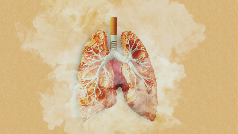 rssImage-700191a5d43dfdbf65071bc695450762.png